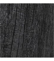 Detailaufnahme von Holzstruktur in schwarzer Eiche Yakisugi