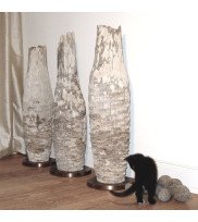 Wooden floor vases of lignified agaves with metal base in vase set with 3 and black baby cat