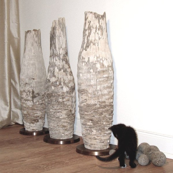 Wooden floor vases of lignified agaves with metal base in vase set with 3 and black baby cat