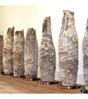 Floor vases of lignified agaves with metal bases in big sizes several vases in a row