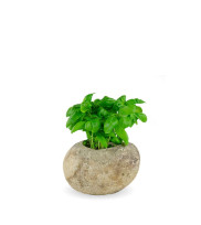 Planter POT M made of river stone in the colors of stone beige with herbs