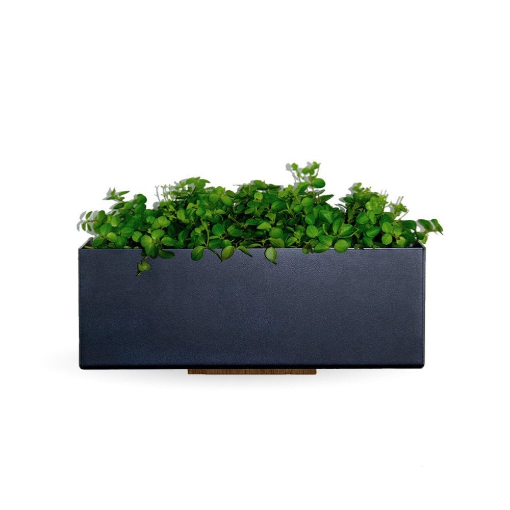 Decorated wall flower box in black metal with back wall in oak smoked