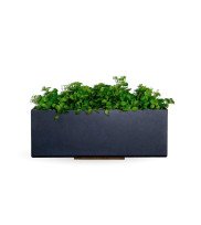 Decorated wall flower box in black metal with back wall in oak smoked