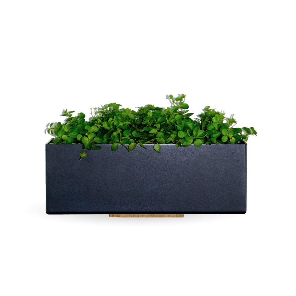 Decorated wall flower box in black metal with back wall in oak nature oiled