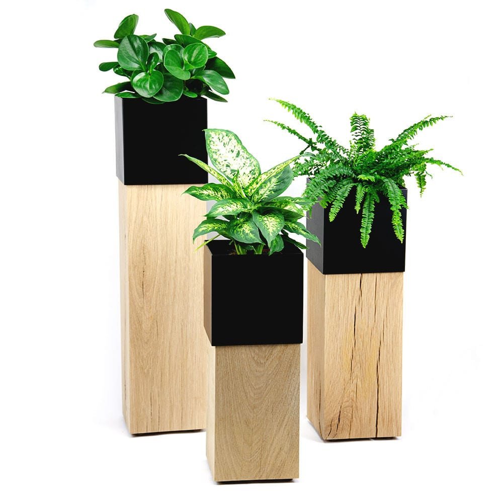 Pflanzsäulen PILLUM Eiche roh, in 3 unterschiedlichen Größen mit Pflanzen dekoriert