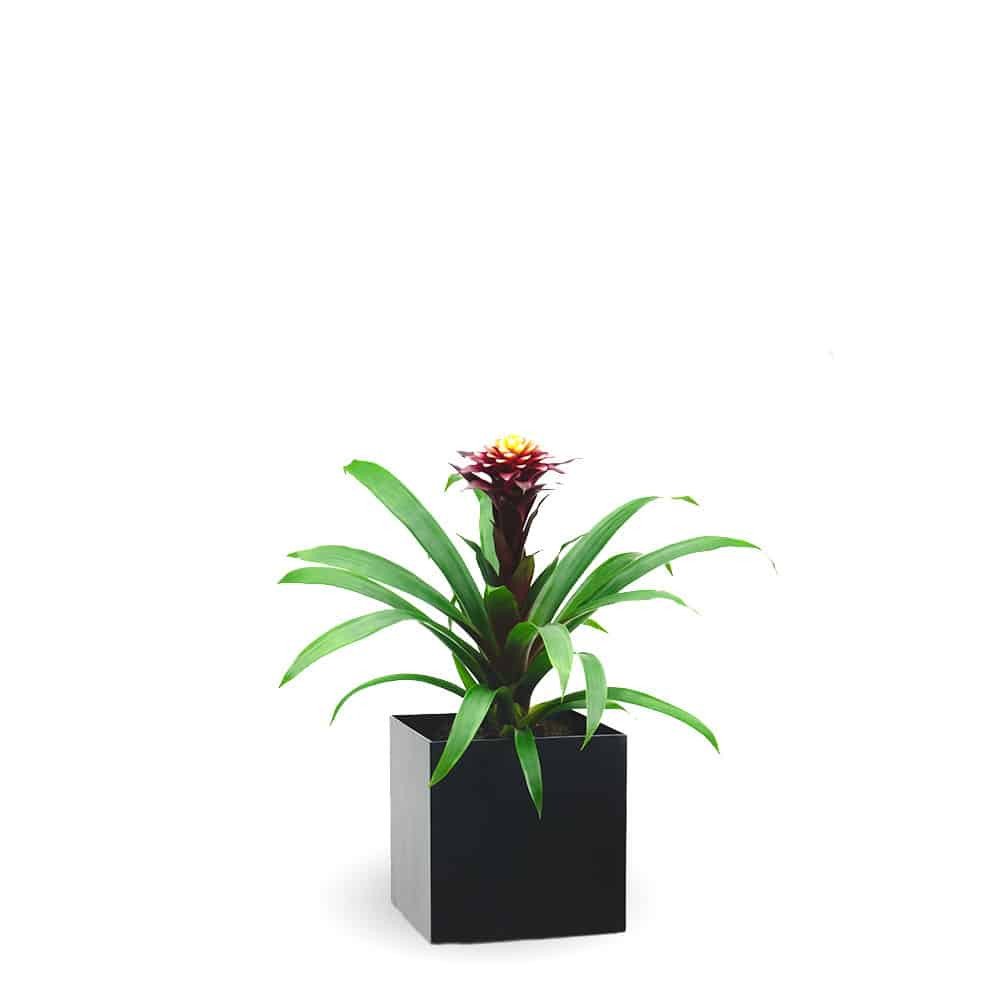 Planter column PILLUM from pure powder coated steel for indoor and outdoor, decorated with flower