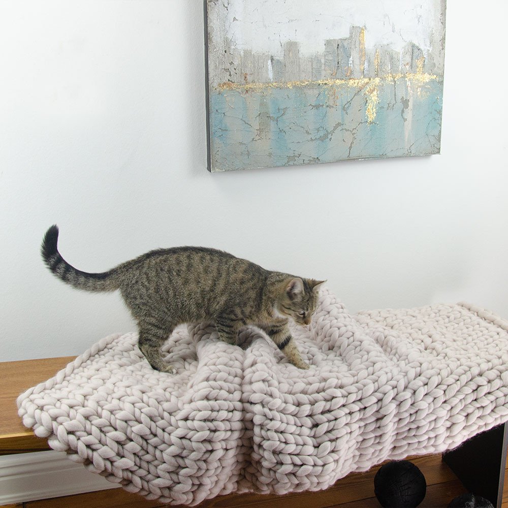 Merino wool blanket FLUF in cream on bench with running cat